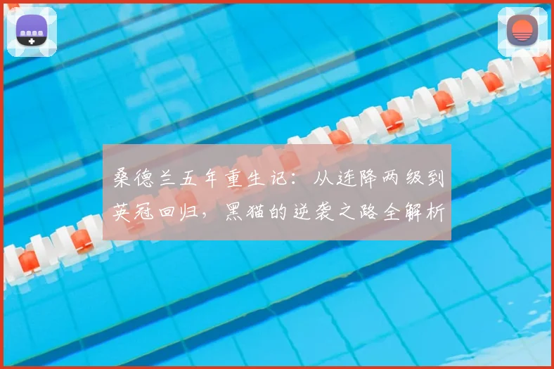 桑德兰五年重生记：从连降两级到英冠回归，黑猫的逆袭之路全解析