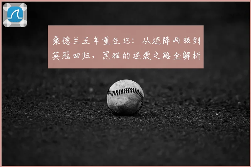桑德兰五年重生记：从连降两级到英冠回归，黑猫的逆袭之路全解析